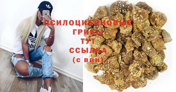 трава Абинск