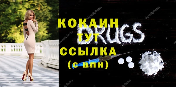 мдпв Лагань